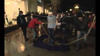 Братья Сафроновы. украина чудес.пальма