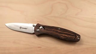 Ganzo G738-W1