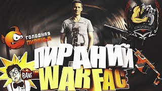 STREAM Пираний WARFACE Скифы немножко стреляем)) от 18+