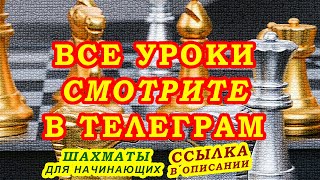 ПОЛ МОРФИ ВСКРЫТИЕ ЦЕНТРА ТАКТИКА ШАХМАТЫ УРОКИ ОБУЧЕНИЕ для начинающих видео онлайн