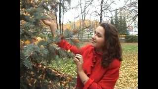 Красивая чувашская песня. Исполняет  Антонова  Наталья