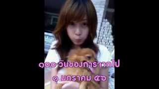 ๑๐๐ วัน สุพนิดา สุทธาวรรณกุล (นุช)