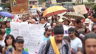 Día mundial del ambiente: logros del movimiento ecologista