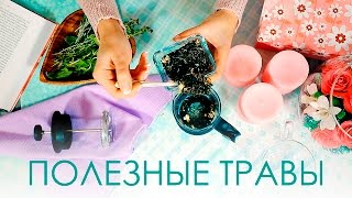 Программа красоты: польза трав [Настоящая Женщина]