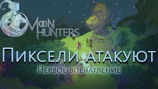 Пиксели атакуют! [Moon Hunters]