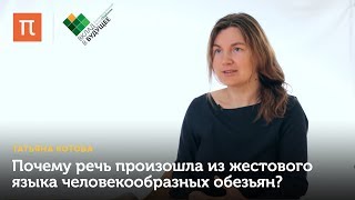 Теории речевого развития — Татьяна Котова