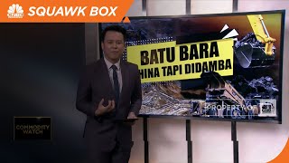 Batu Bara Dihina Tapi Didamba