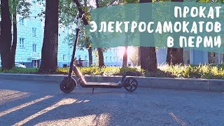 Прокат / аренда электросамоката в Перми