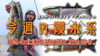 オカッパリガイド・アユサンの今週の霞水系！暖冬の北浦本湖は雨と風を釣る！