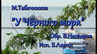 М.Табачников "У Чёрного моря", обр. В.Нестеров
