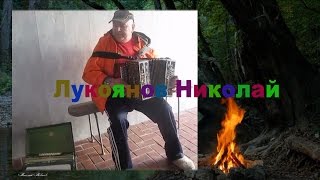 Цыганочка с выходом! ☀️ Исполняет ВИРТУОЗ РОССИИ Николай Лукоянов ╰❥Gypsy to accordion Играй гармонь
