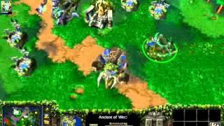 Miker vs Elf
