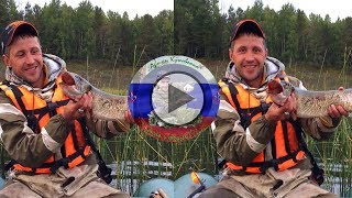 Вот это рыбалка!!!Ловим щук осенью на блесну вертушку р.Ангара 2018.
