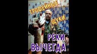 ТРОФЕЙНАЯ ЩУКА/РЕКИ СЕВЕРА/РЕКА ВЫЧЕГДА/МОНСТР ИЗ ГЛУБИНЫ