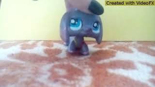 LPS новинки