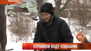 Отравили воду кошками