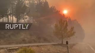 Greece: Sun dimmed with heavy smoke due to Rhodes fires