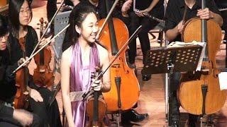 Tchaikovsky Violin Concerto in D Major,Op.35 1st Mov