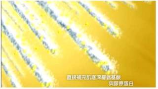 潘迎紫年輕的秘密電視廣告_30秒版_version2