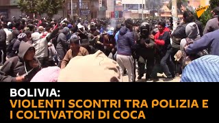 #Bolivia: violenti scontri tra polizia e i coltivatori di #coca