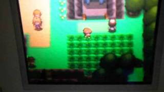 Evolving Feebas into Milotic on Pokemon PEARL