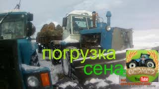 погрузка сена мтз 80  и т 150к едем в сцепке