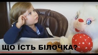 Що їсть білочка? Розвиваюче відео для дітей українською. What a squirrel likes to eat