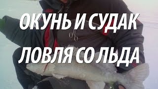 ПОДЛЕДНАЯ РЫБАЛКА НА ЖЕРЛИЦЫ. ЛОВЛЯ ОКУНЯ И СУДАКА ЗИМОЙ