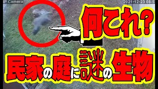 【インタビュー】福岡に現れた謎の怪獣の動画衝撃の映像公開　ATL4th90