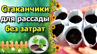 ?СТАКАНЧИКИ ДЛЯ РАССАДЫ БЕЗ ЗАТРАТ. Делаем своими руками.
