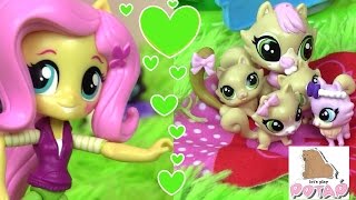 Семья с Сюрпризом Кошек Литлест Пет Шоп и MLP Май Литл Пони Мультики LPS Видео для Детей