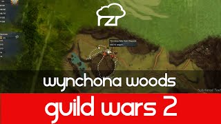 Guild Wars 2 Wynchona Woods Vista