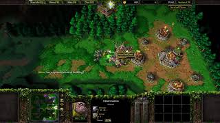 Warcraft 3 TFT - Survival Chaos #38