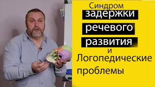 Заметки остеопата. Задержка речевого развития ребенка. Из-за чего возникает? Как лечить?