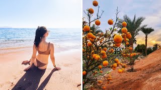 ПОСЛЕДНИЙ ДЕНЬ ОТДЫХА И ЕГИПЕТСКИЕ ПОДАРКИ???