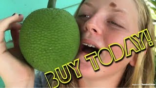 Breadfruit, Grapefruit, and Guava Commercial