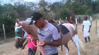 Corrida de cavalos  boa vista do  tupim  Val do nico X carrapato