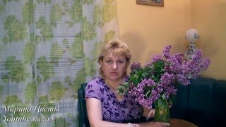 ПОЧЕМУ НЕ ЦВЕТЕТ СИРЕНЬ?