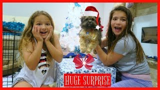 OPENING EARLY CHRISTMAS PRESENT / A NEW PUPPY / AMAZING SURPRISE "SISTER FOREVER"