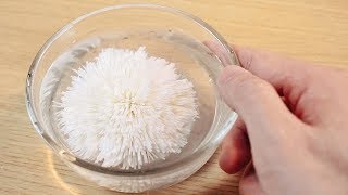在家憋坏了，竟花5個小時把豆腐做成了一朵花兒！ 【奇異小北】