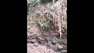 Waterfall at Jibhi