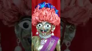 Shree Harikrushna Maharaj Vadtal Dham Live Darshan - 15/02/2018