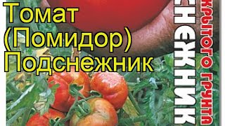 Томат Подснежник. Краткий обзор, описание характеристик solanum lycopersicum Podsnezhnik