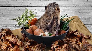 Тушеная нутрия с овощами: простой и понятный рецепт