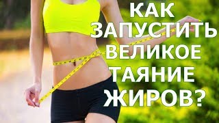 Как запустить великое таяние жиров? \ Елена Бахтина