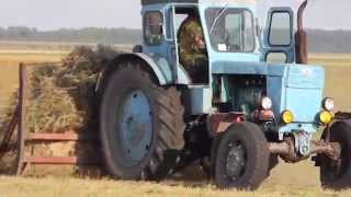 Трактор Т - 40