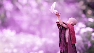 Enhance Deep Positive Energy | 528Hz Miracle Music | Energy Healing Frequency | Zen Healing Sounds