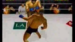 Wanderley Silva Vs Minotauro