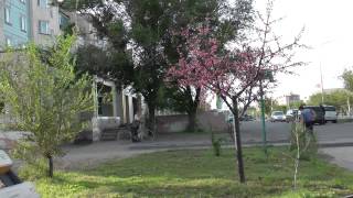 Весна . Шахтинск 2013 год.