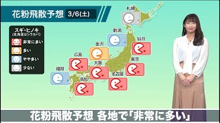 3月6日(土)花粉飛散予想　各地で「非常に多い」
